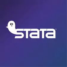 Financial Econometrics Using Stata Training Course
