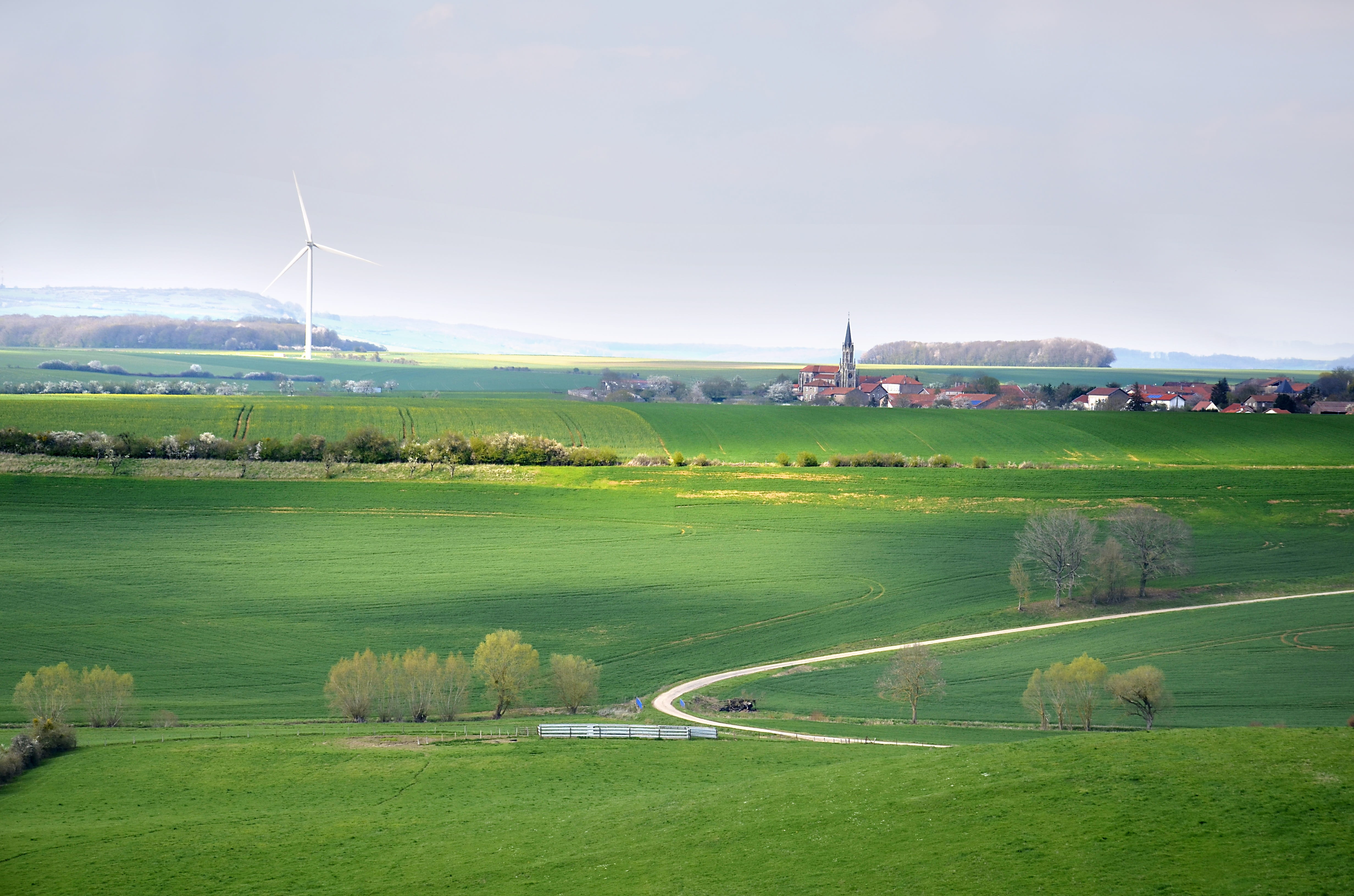 Environment and Natural Resources
