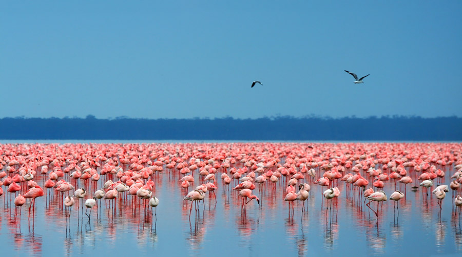 Nakuru